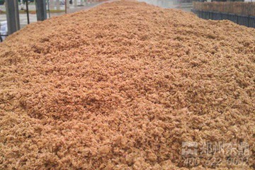 安徽滁州天广生物质能源啤酒糟烘干机技改项目
