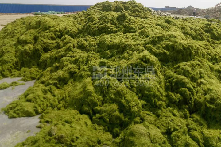 牧草烘干机如何科学选型？牧草烘干过程中营养成分会流失吗