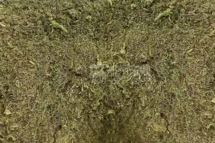 牧草烘干机如何科学选型？牧草烘干过程中营养成分会流失吗
